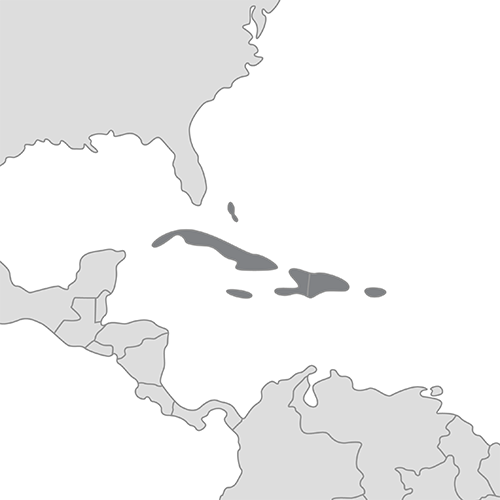 Caribe